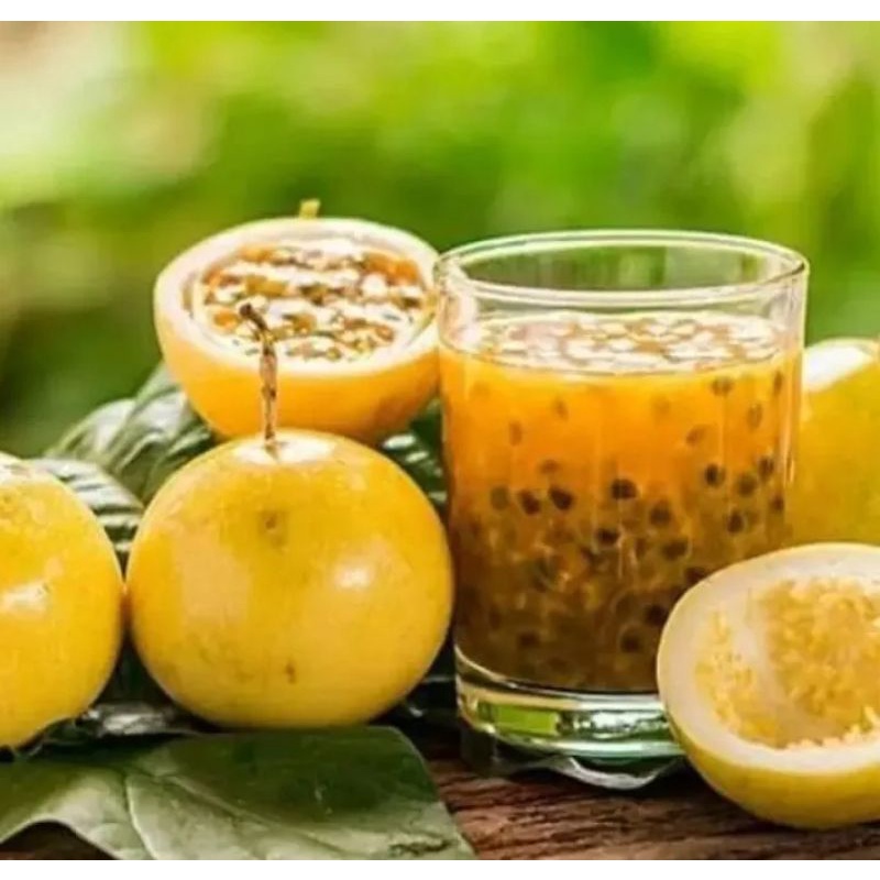 

BUAH MARKISA SEGAR 1KG