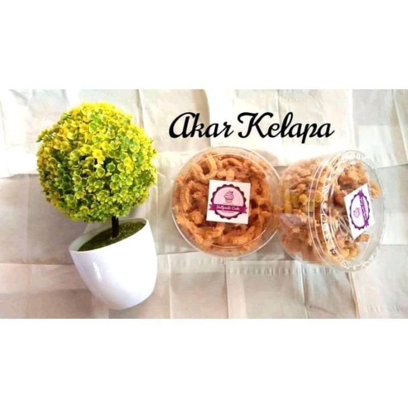 

Akar_Kelapa