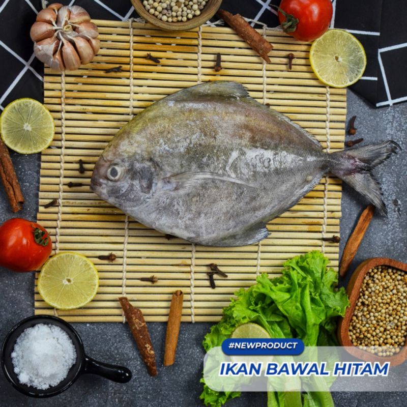 

Ikan Bawal Hitam Laut Segar / Ikan Laut Segar Kiloan 2-3 ekor/ Pack 1 kg