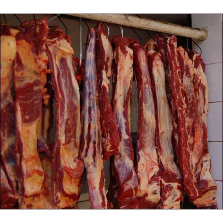 

BATAM - Tulang sapi segar