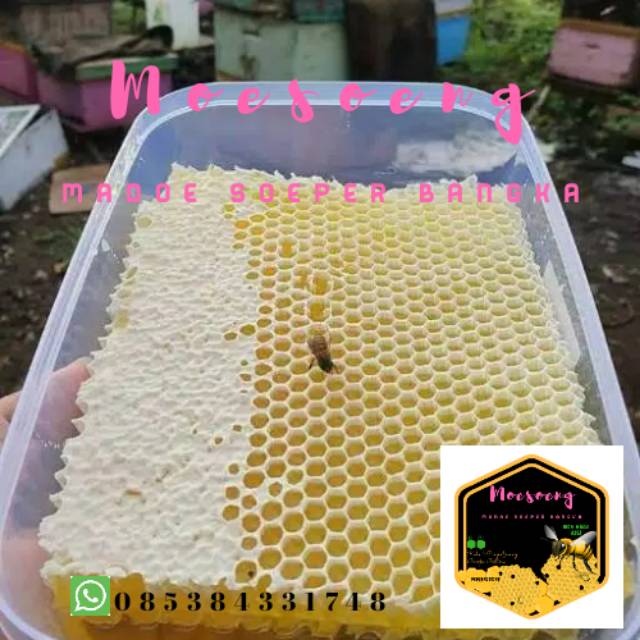 

Madu Sarang Melifera 250 gr