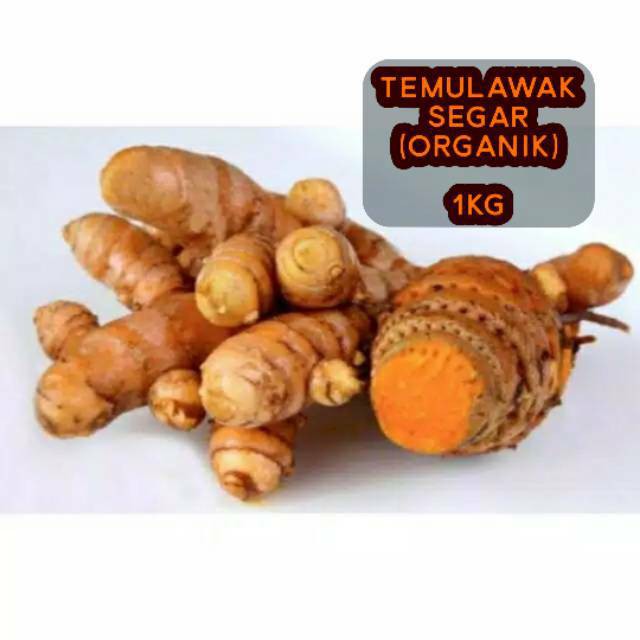 

terbaru Temulawak segar 1kg temu lawak umbi basah fresh segar