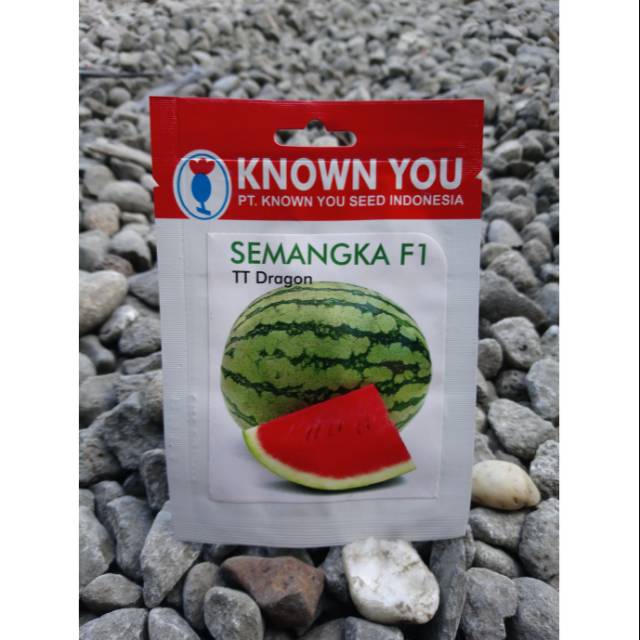 Benih Bibit Semangka Merah TT DRAGON F1 (10btr)