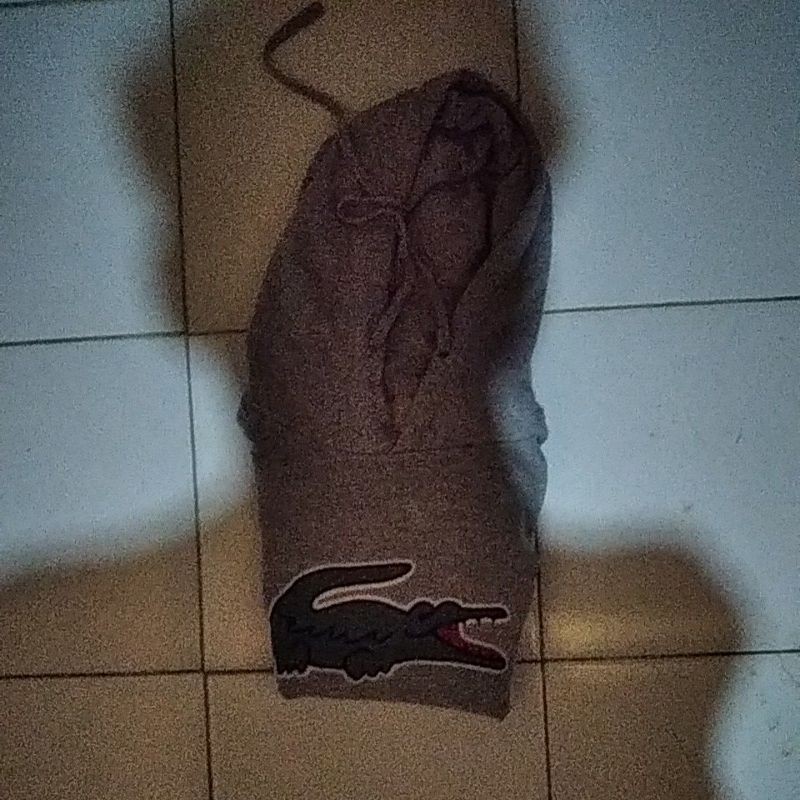 hoodie Lacoste