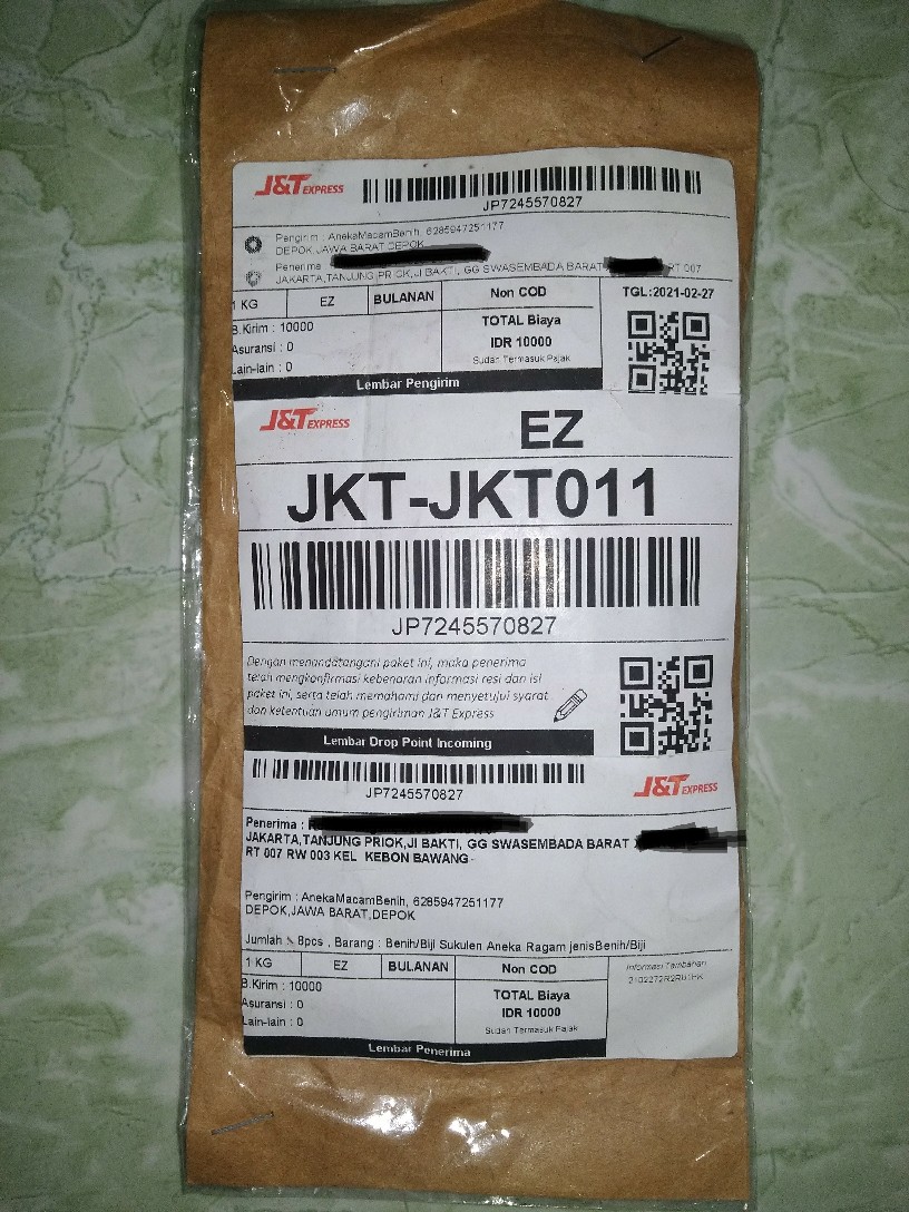 Benih/biji/bibit Bunga Sakura Mini