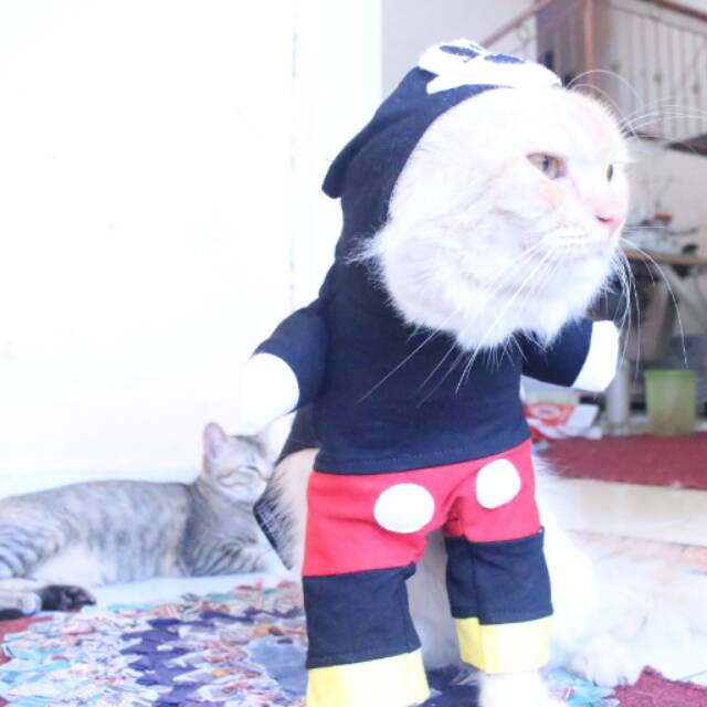 Kostum mickey mouse untuk kucing &amp; anjing /Jual Baju Kucing Terlengkap &amp; Berkualitas size S-XL