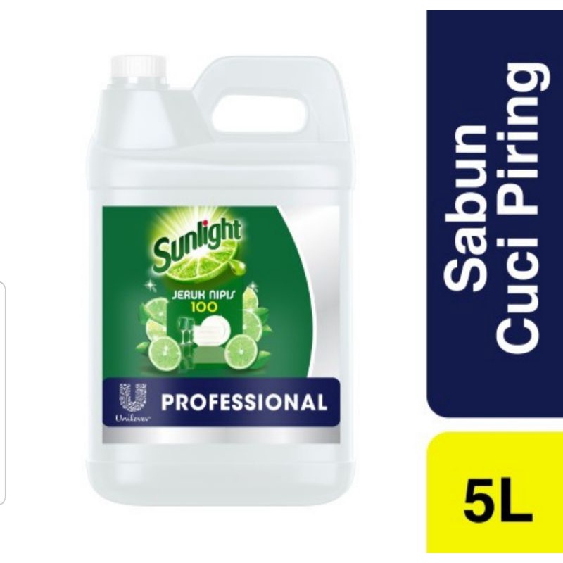 Sunlight Professional 5L