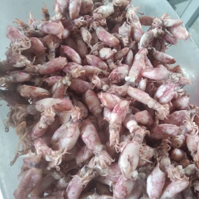 

Cumi kering ukuran 4cm - 5cm .1kg