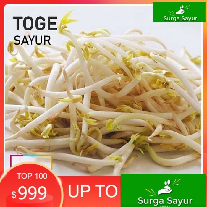 

SURGA SAYUR TOGE [150g] SEJABODETABEK BISA KIRIM INSTANT DGN GOSEND/ GRAB