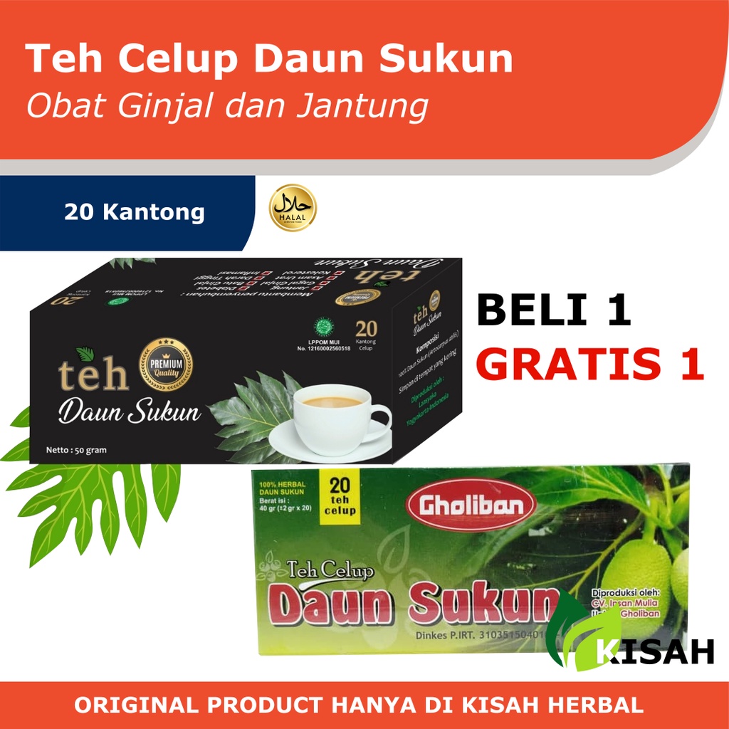 TEH CELUP DAUN SUKUN PREMIUM 20 KANTONG | OBAT PENYAKIT GINJAL, JANTUNG DAN GULA DARAH