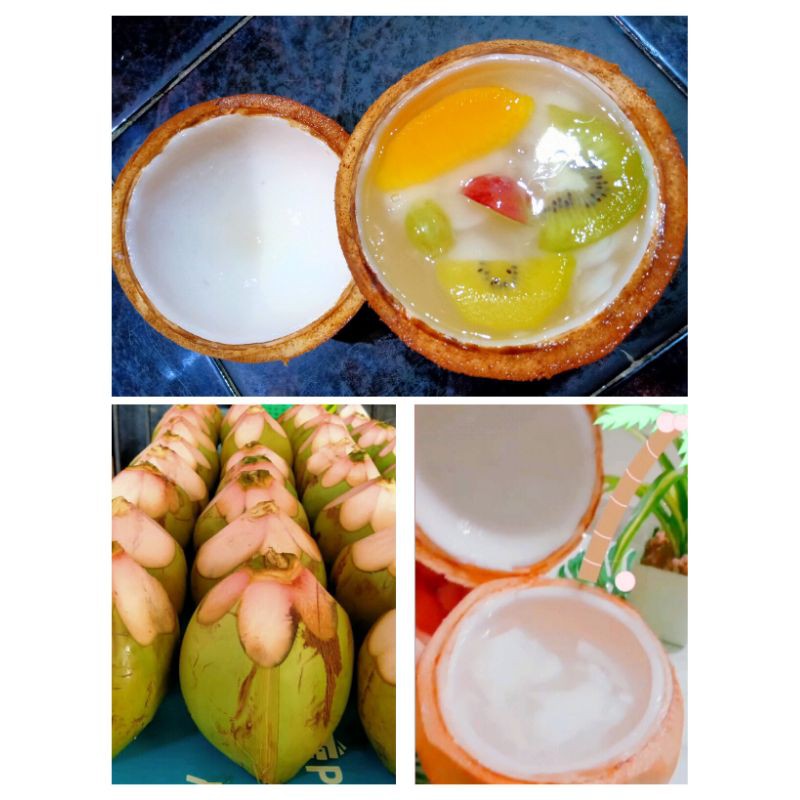 

Coconut Jelly Premium Mak Centong Rasa Original Kelapa Muda