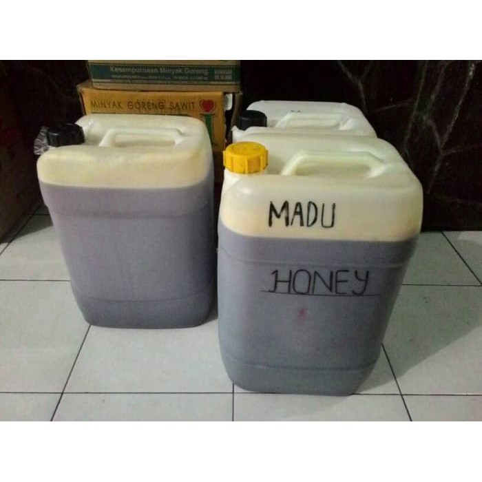 

Madu Hutan kiloan - MMD2532