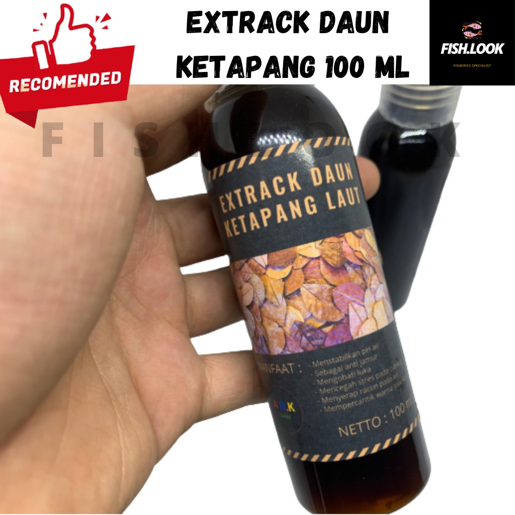 Ekstrak Daun Ketapang 100 ml Hitam Pekat Tanpa Minyak Kualitas Super Extract Extrak