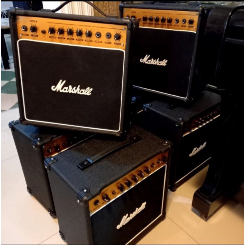 Ampli Gitar Combo 2 Input + Delay