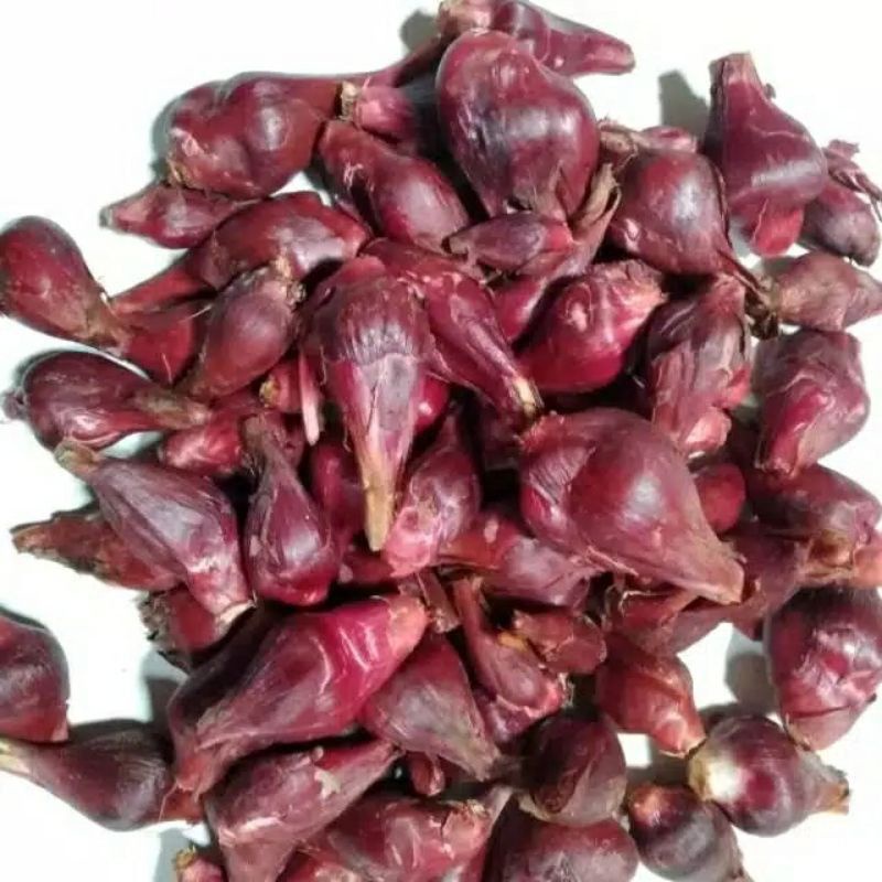 

bawang Dayak segar 1kg