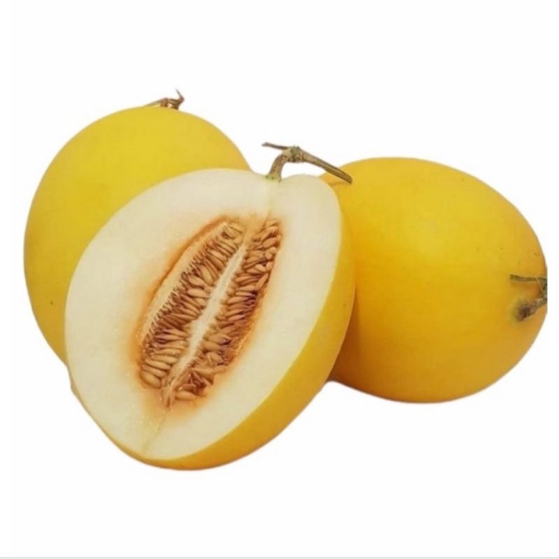 

buah melon golden 1buah