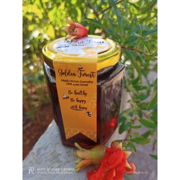 

Madu Hutan Asli / Madu Golden Forest 320ml