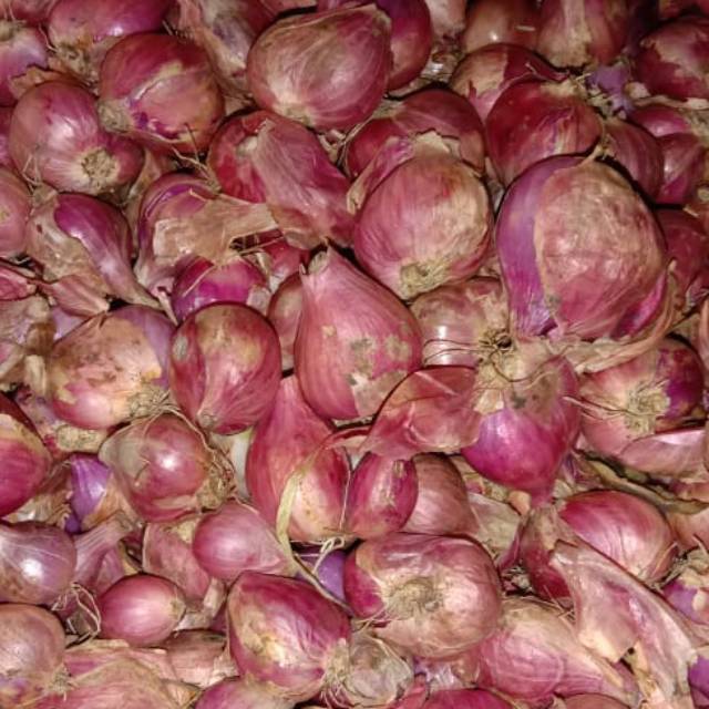 

Bawang Merah Asli brebes besar
