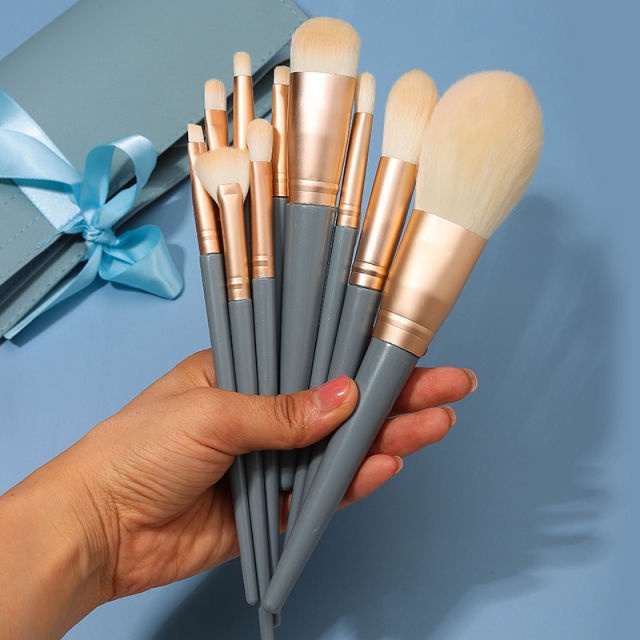 Set Kuas Makeup Make Up Brush Set 10pcs Free Dompet