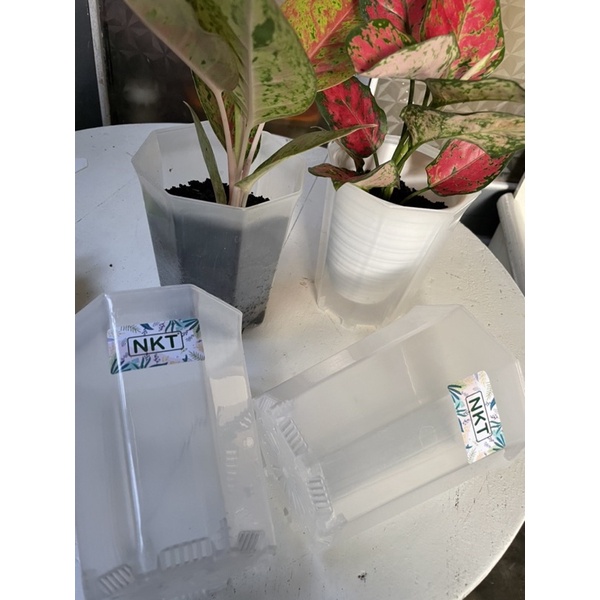 Pot bunga NKT pagoda bening transparan 10