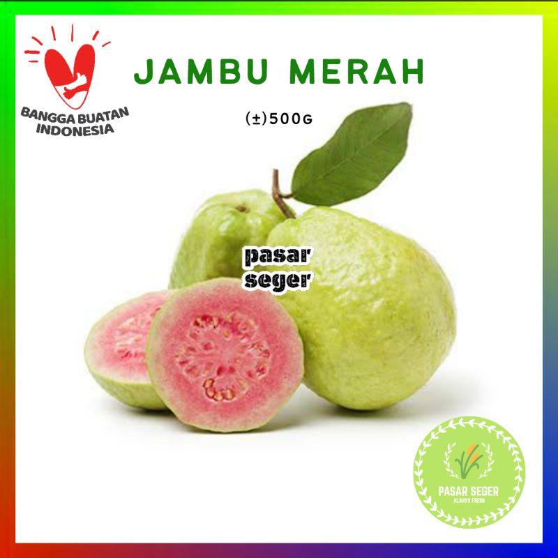 

JAMBU MERAH - BAHAN RUJAK [500g]