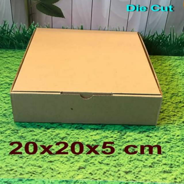 kardus box pizza 20x20x5