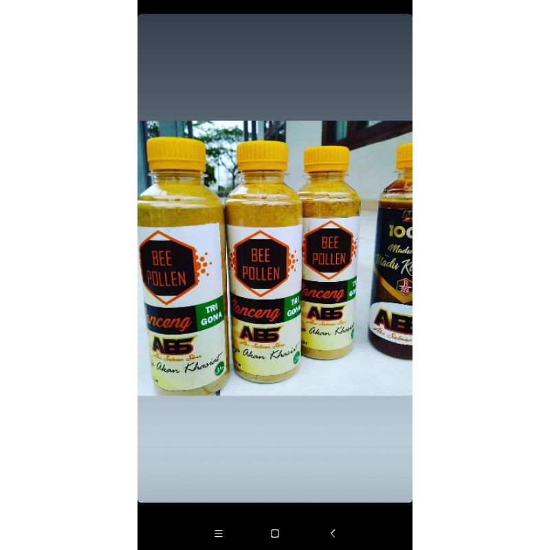 

beepolen trigona