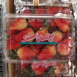 

BUAH STRAWBERRY USA SWEET DARLING 1 PACK