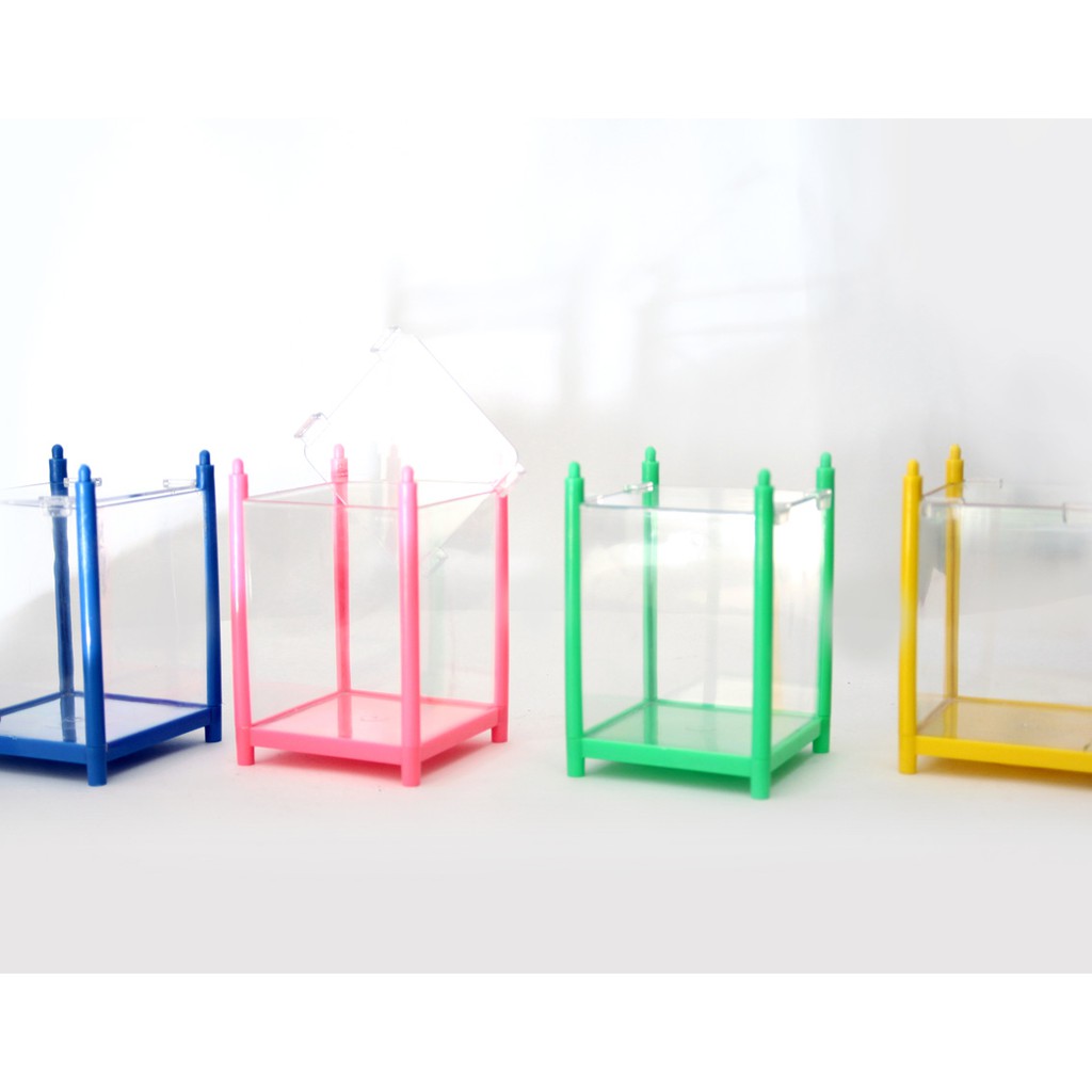 Aqaurium cupang Nikita Betta