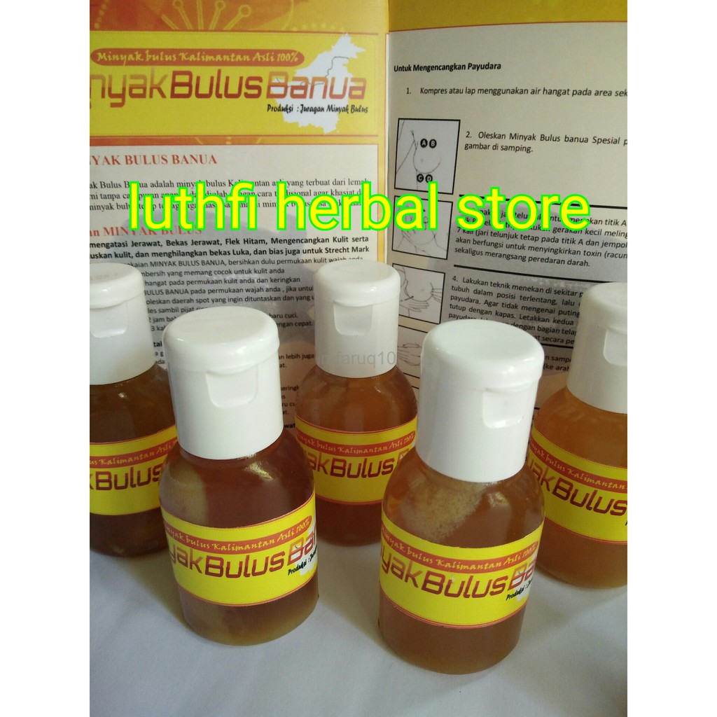 

Promo Termurah MINYAK BULUS ASLI 1000 LEMAK BULUS KALIMANTAN 30 ml
