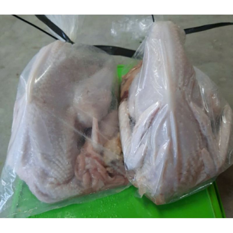 

ayam pejantan 600-700 gram