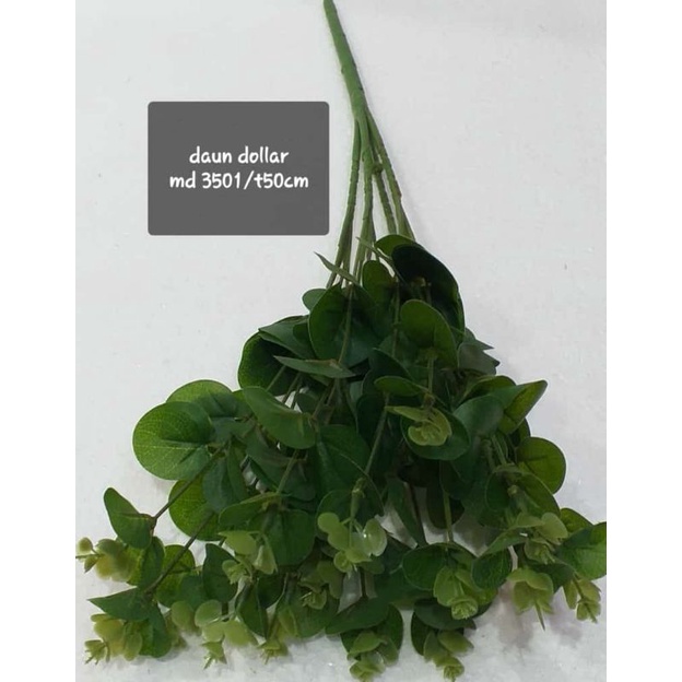 daun dollar / bunga artificial daun dollar