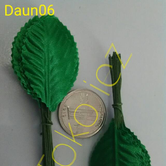 

Daun06