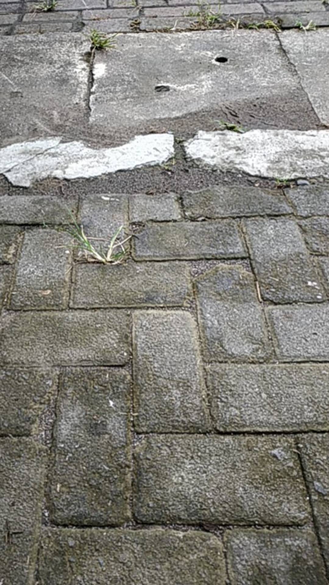 Grosir Handle Pintu 33 Cm Dan Body Kunci Pintu Rumah Tarikan Pintu Murah Gagang Stainless