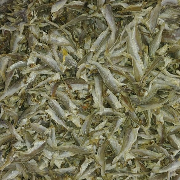 

ikan asin anak gulama