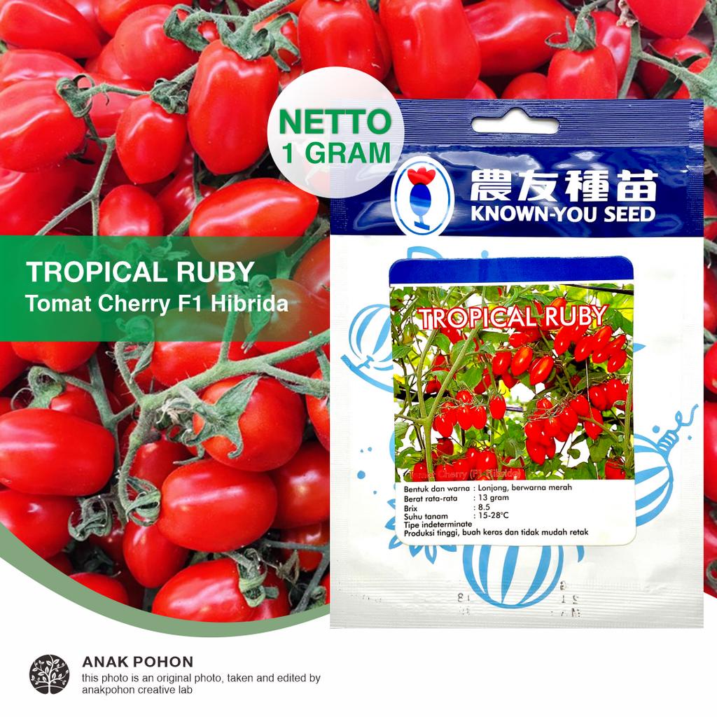 (1 PACK) Benih Tomat Cherry Merah TROPICAL RUBY Hibrida F1 Seeds - Known You Seed KYS - 1 GRAM