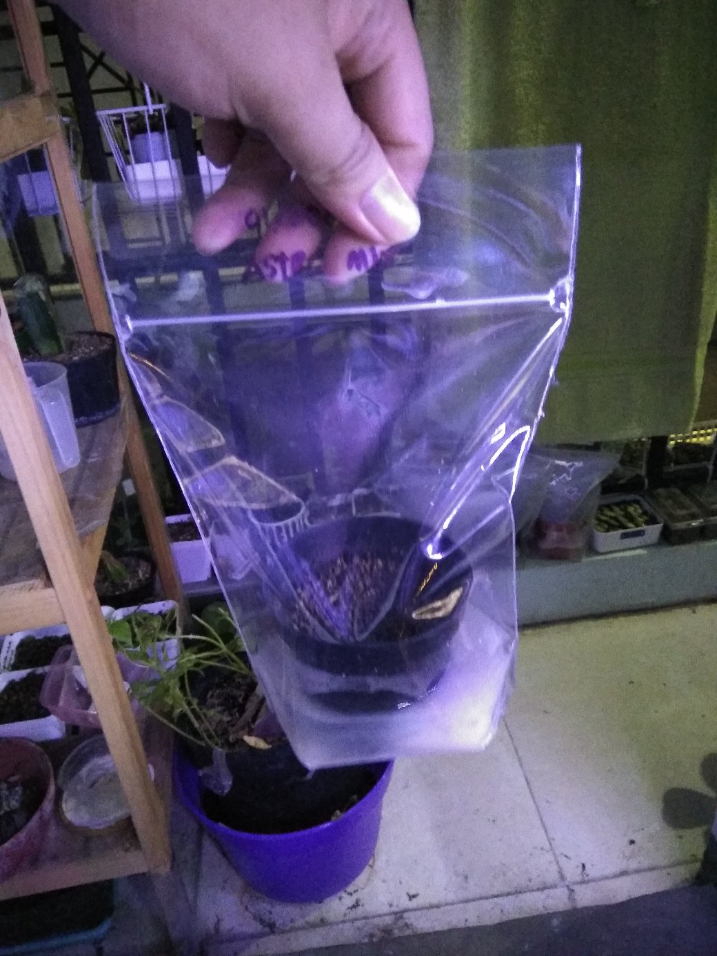 Pp Klip / Pp Ziplock 15x20