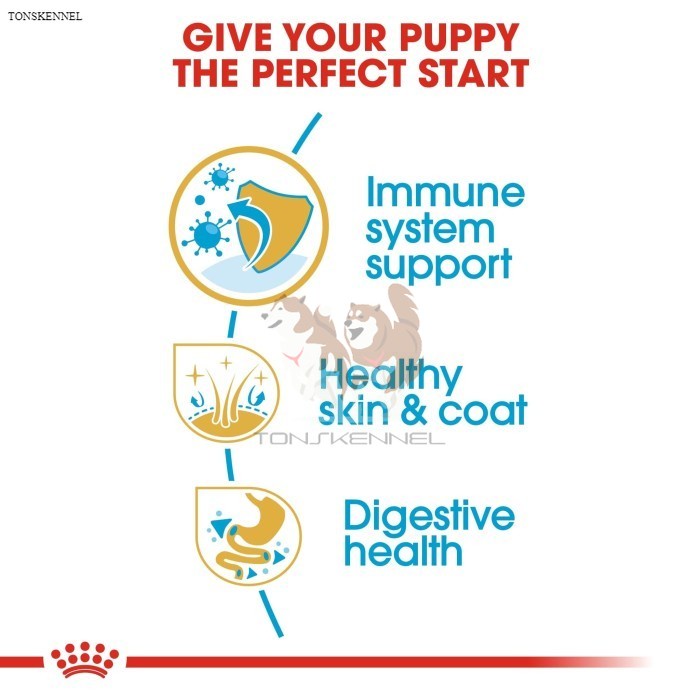 Royal Canin Shih Tzu Junior Makanan Anak Anjing Dry 1,5kg rc ShihTzu