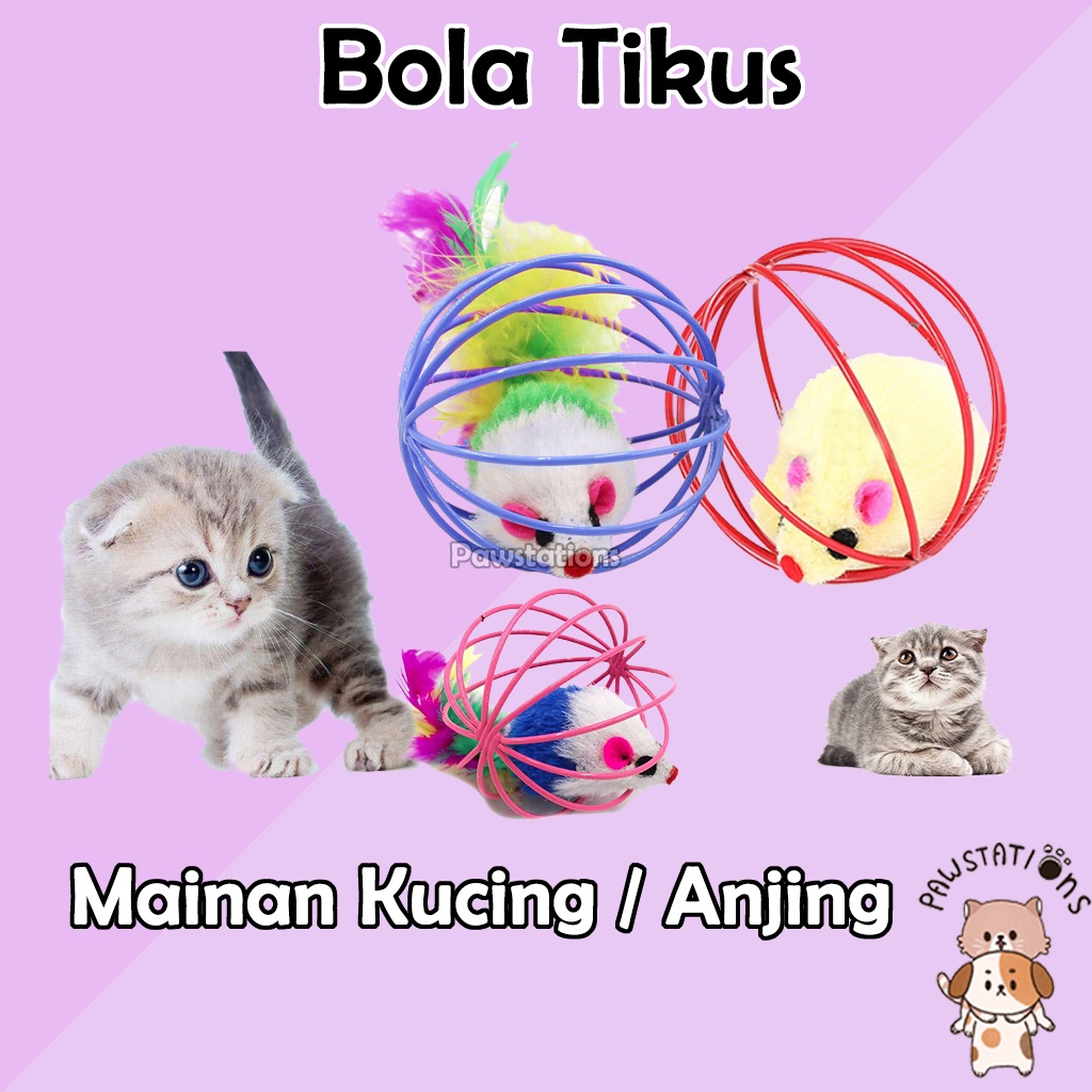 Bola Tikus Mainan Kucing Bola Isi Tikus