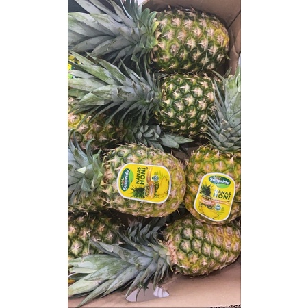 

buah nanas madu sunpride nanas besar