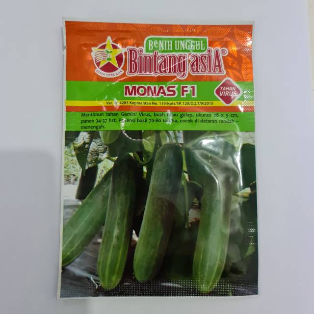 Bibit timun(monas F1)