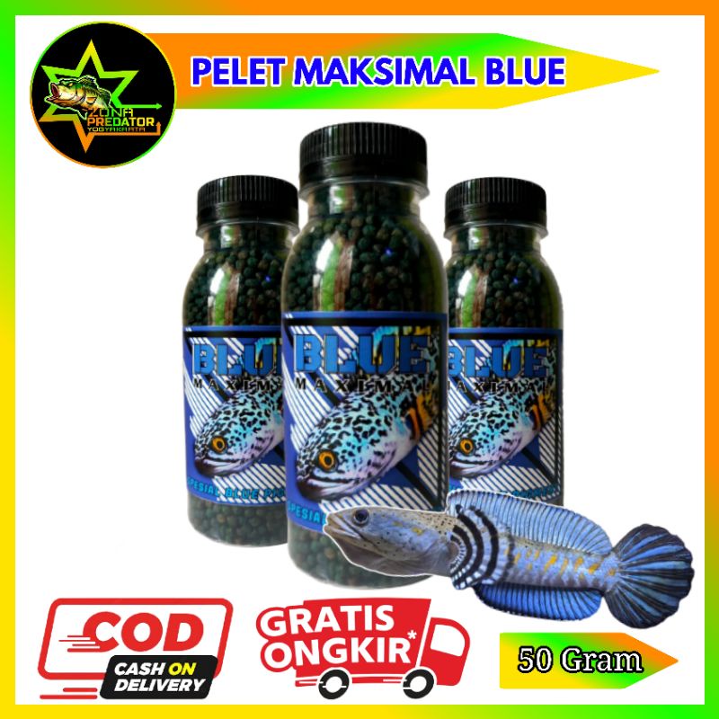 Pelet Blue Maksimal Pakan channa Pulchra 50 Gram