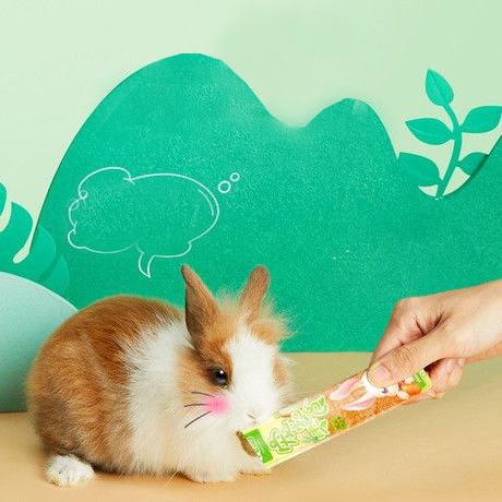 Snack Nutrisi Kelinci Rabbit Guinea Pig Chinchilla Treats 10gram FEFARM