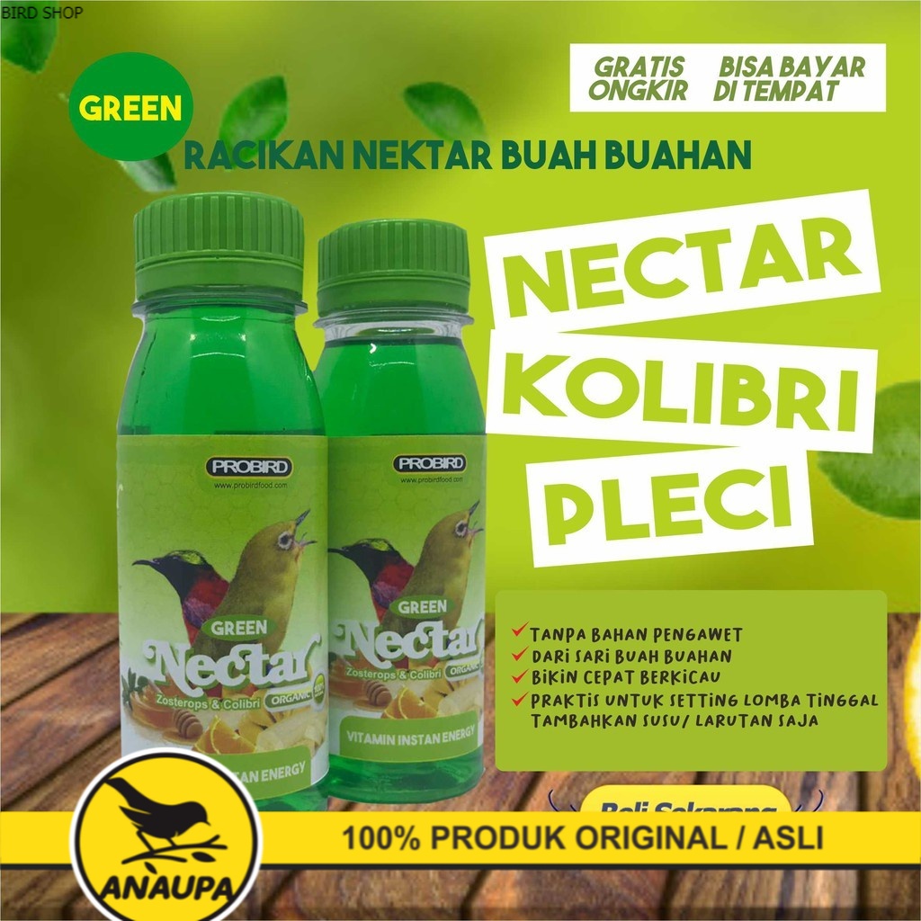 

NEKTAR PLECI KOLIBIRI SOGOK ONTONG COCAK IJO