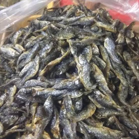 

ikan bilih danau singkarak(500grm)