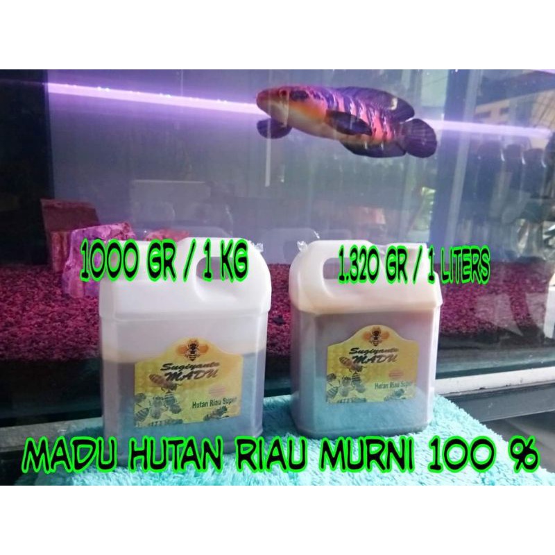 

Madu Hutan Riau MURNI || 1Liter Madu Sugiyanto