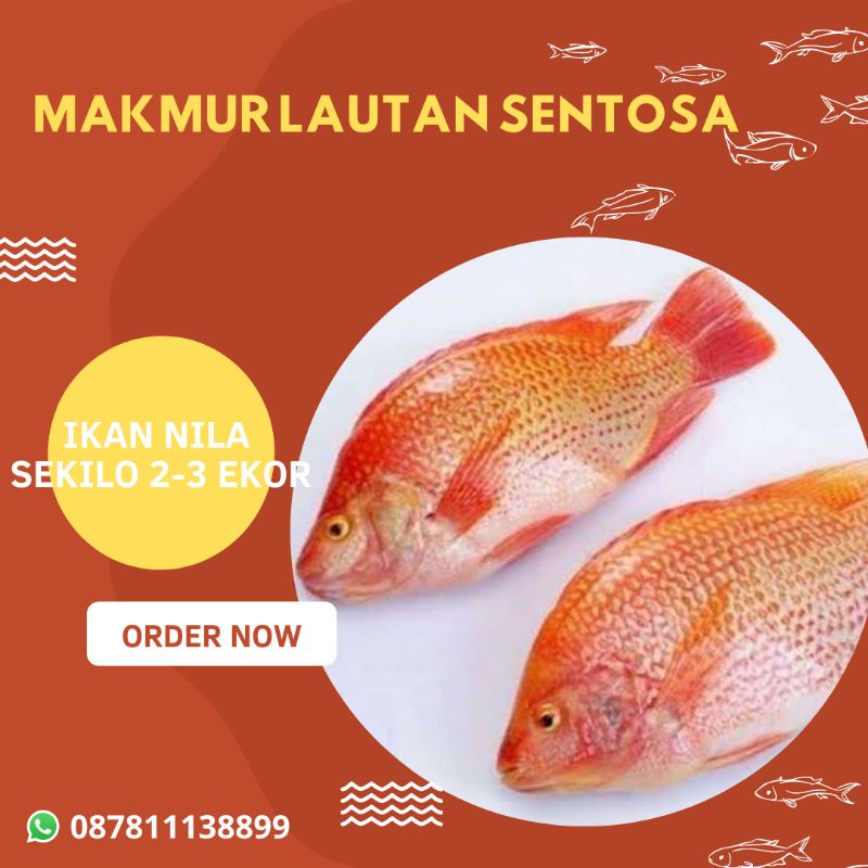 

IKAN NILA FRESH 2-3 EKOR PER KG