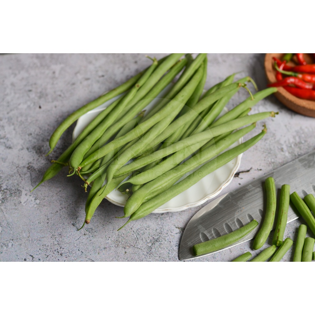 

Buncis Organik - Lojin Organic Store