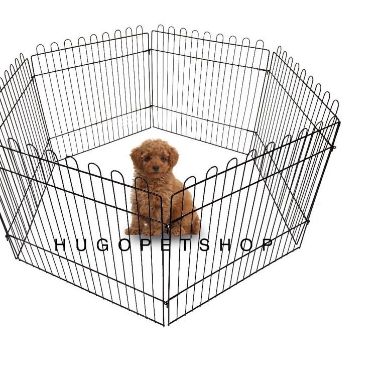 ○ KANDANG PAGAR kandang kelinci hewan pagar anjing kucing kelinci kura-kura pagar taman ➳