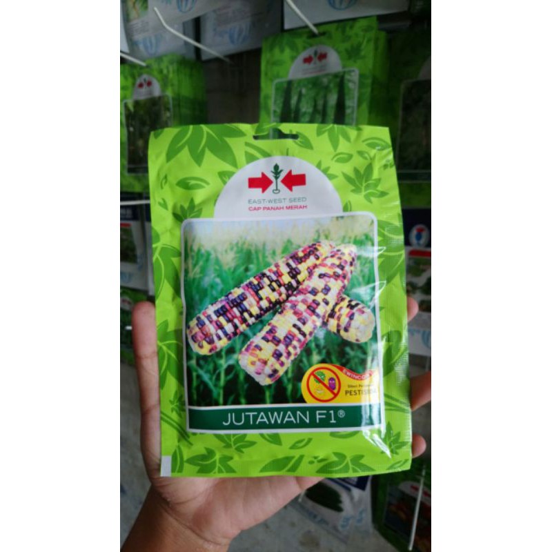 Benih Jagung Pelangi JUTAWAN F1 200BJ